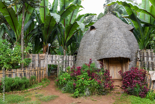 View at Dorze village on Ethiopia
