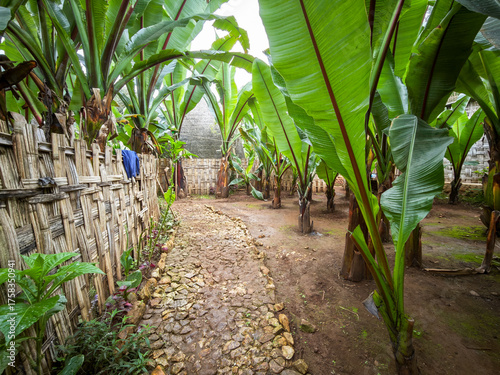 View at Dorze village on Ethiopia