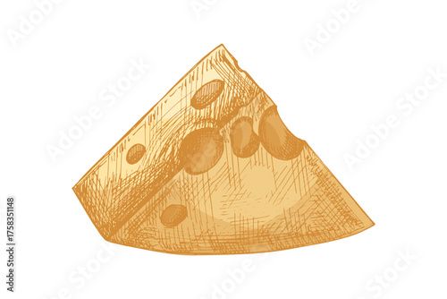 Hand drawn vintage sketch of wedge cheese with holes in color isolated realistic dairy food illustration