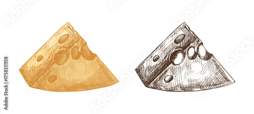 Hand drawn vintage sketch of wedge cheese with holes in color and monochrome isolated dairy food illustration