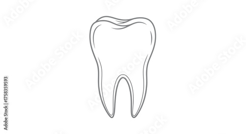 Single tooth illustration for dental health