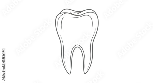 Illustration of a molar tooth for dental care