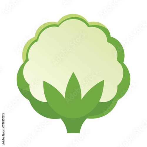 vector art of a green cauliflower icon