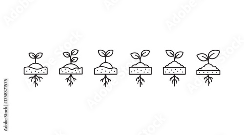 Seedling growth stages from seed to sprout life cycle concept in hand drawn style vector