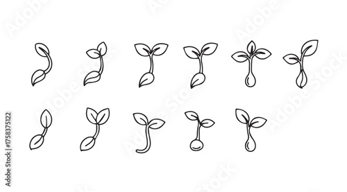 Collection of hand drawn seedling growth stages showing plant development and nature's cycle vector