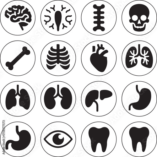 Human Organs and Body Anatomy Icon Pack – Brain, Heart, Lungs, Skeleton, and Internal System Symbols