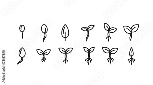 Hand drawn seedling growth stages botanical plant life cycle icons set vector