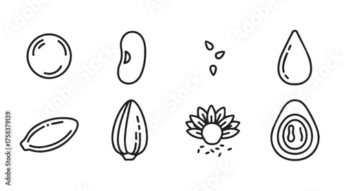 Collection of hand drawn seed icons representing botanical diversity and growth vector