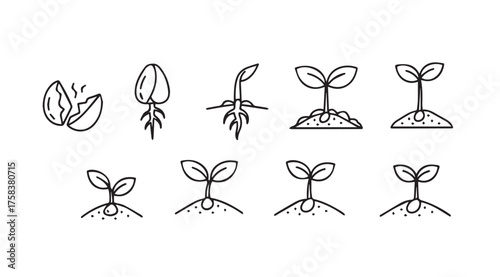 Seed germination stages botanical growth plant sprouts icons hand drawn style vector