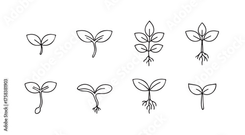 Seedling growth stages collection fresh young plants sprouts emerging from soil hand drawn style vector