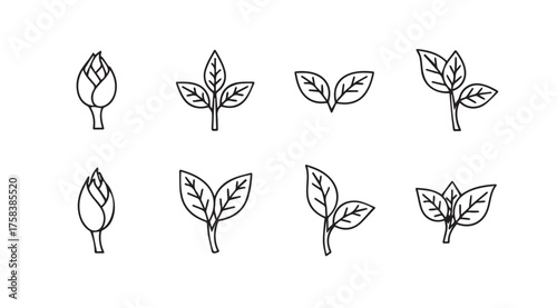 Eight hand drawn budding plants and sprouts sketch elements organic growth nature leafy sprouts simple line art vector