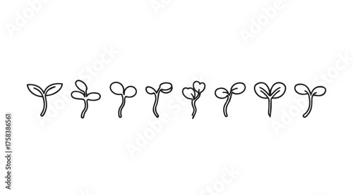 Hand drawn seedling sprouts growth stages simple line art organic farming concept isolated elements vector