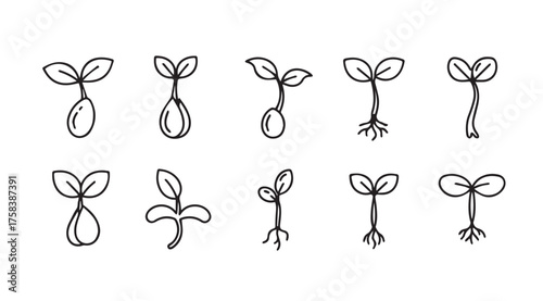 Hand drawn seedling growth stages collection botanical sprouts organic development visuals vector