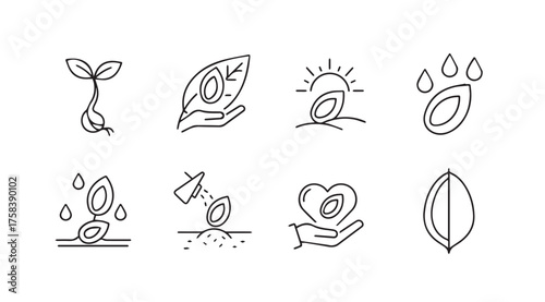 Organic seed growth icon set showing germination planting care and natural elements for sustainable agriculture vector
