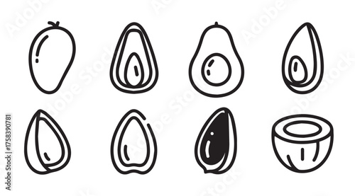 Hand drawn mango avocado coconut seed icons set fruit food graphics collection vector