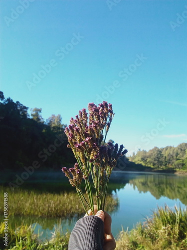Hand holding delicate purple flowers by a serene lake on a clear day