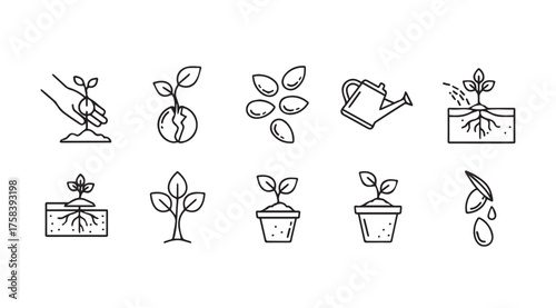 Set of hand-drawn seedling growth icons depicting planting watering and plant development stages vector