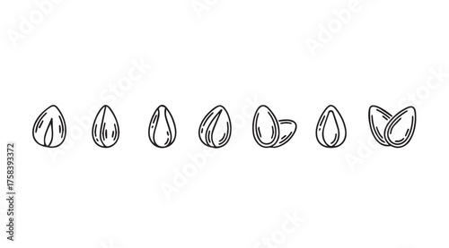 Hand drawn almonds set healthy nut food ingredients organic snack natural taste vector