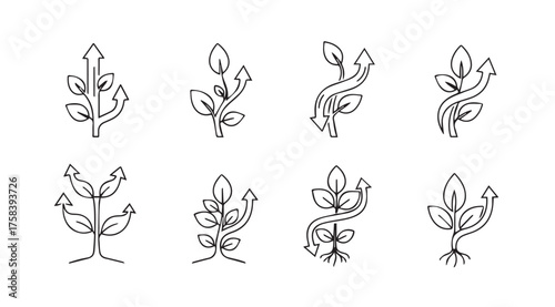 Ornate hand drawn botanical elements flourishes for elegant design and decoration accents vector