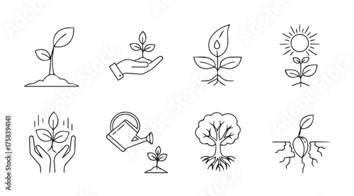 Hand drawn plant growth stages and gardening icons set nature elements vector