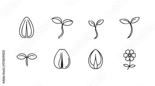 Hand drawn seedling growth stages isolated on white representing life and nature vector