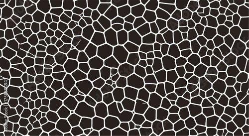 An abstract geometric pattern with a black and white high contrast creates a visually striking and thought-provoking composition.