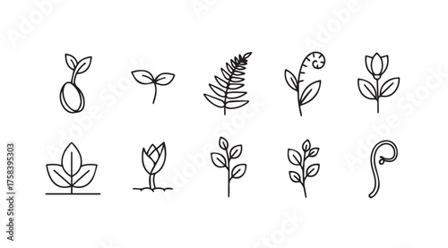 Collection of hand drawn seedling and plant growth stages artistic sketch elements vector