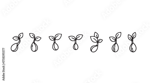 Hand drawn seedling growth stages simple botanical line art sprouts organic development concept vector