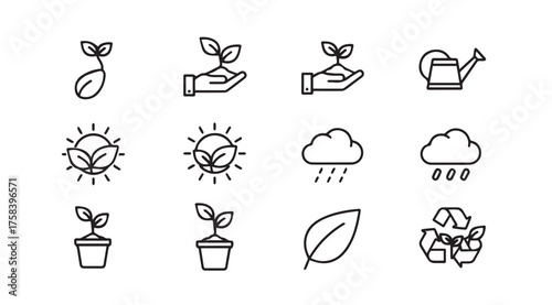 Set of 12 hand drawn icons representing plant growth and gardening elements vector