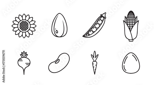Collection of hand drawn line art icons representing various seeds and produce for healthy eating vector