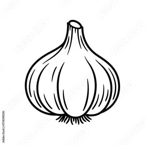 Hand-Drawn Black and White Outline Illustration of a Whole Garlic Bulb