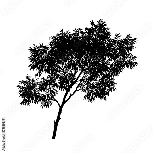 Isolated Black Silhouette of a Tree with Dense Foliage against a White Background