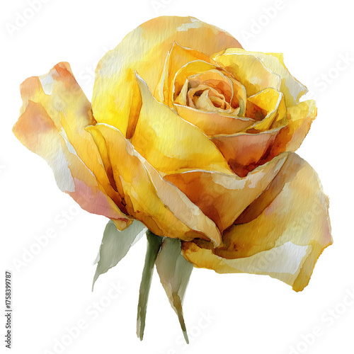 Watercolor yellow rose flower with soft gradient petals and green stem isolated on white background symbolizing friendship and joy