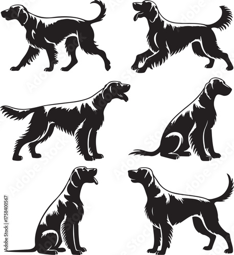 Setters Silhouette Collection Diverse Poses Black Flat on Transparent