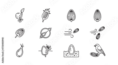Collection of hand drawn seed and bird icons in sketchy style for organic and natural designs vector