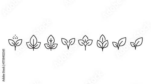 Hand drawn botanical elements collection set of simple leaf icons organic nature sketchy style vector