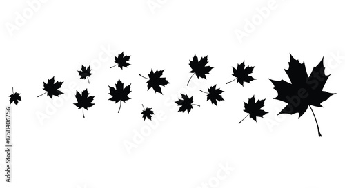 A flowing cascade of black maple leaves in silhouette against a white background suggesting autumn wind and movement silhouette