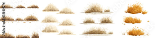 Layered Seasonal Dry Grass in Vector Style with Flat Design Elements