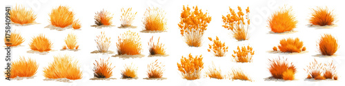 Warm Orange Grass Clumps in Loose Arrangements on a Simple Background