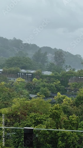View from the glass balcony during the rainy season