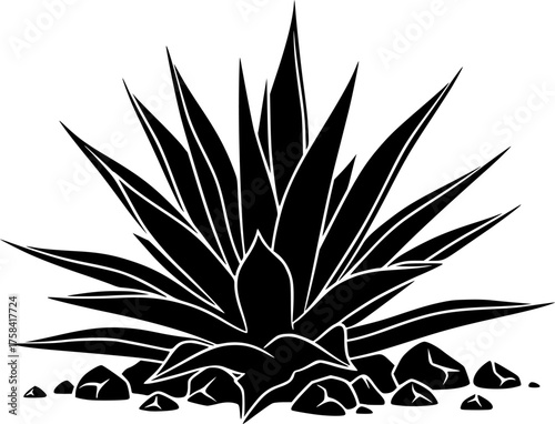Agave Plant on Ground Black and White Outline Line Art Drawing Engraving Illustration Style
