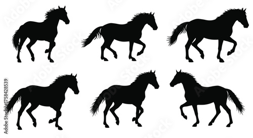 Six running horses silhouette isolated on white background