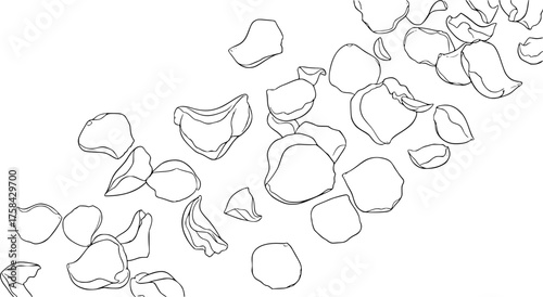 
Falling rose petals drawing. It is a black and white outline image of numerous rose petals gracefully falling, symbolizing beauty and transient moments. Vector sketch line art draw