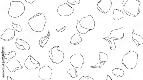 
Falling rose petals drawing. It is a black and white outline image of numerous rose petals gracefully falling, symbolizing beauty and transient moments. Vector sketch line art draw