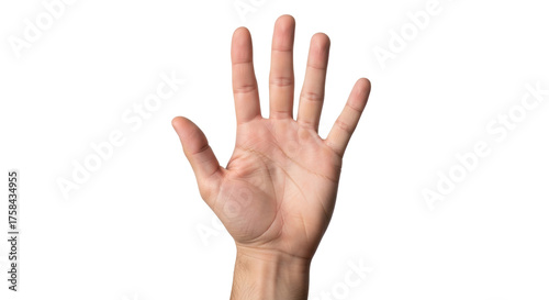 Obraz na plátne Isolated human hand raised upward with the fingers extended showing the number f