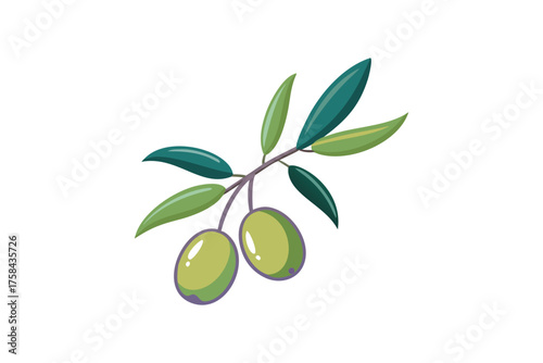 A simple illustration depicts a branch with green olives and leaves