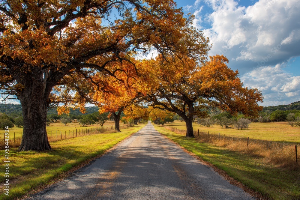 Naklejka premium Fredericksburg Texas. Farm Road Surrounded by Autumn Trees in Texas Landscape