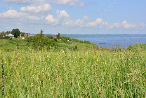 Quadro su tela Grassy Hillside Overlooking a River on a Sunny Day