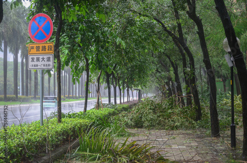 Devastation in Jiangmen: Aftermath of Super Typhoon Ragasa Strikes Guangdong,China.