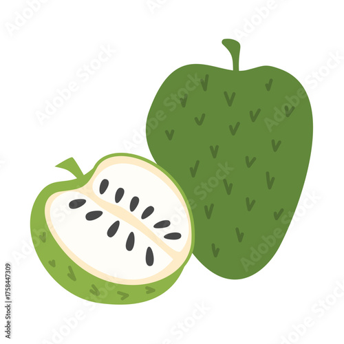 Soursop Fruit Illustration tropical fruit, healthy